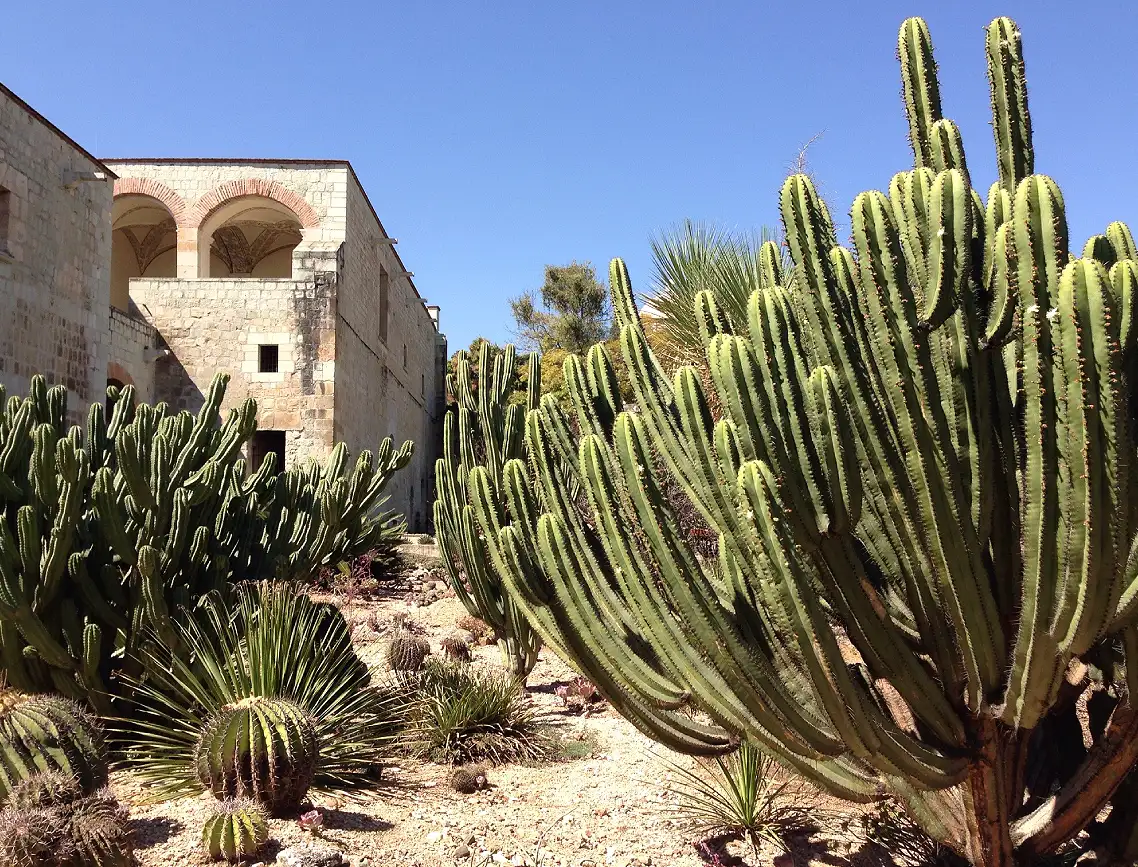 Jardín Etnobotanico de Oaxaca, Oaxaca de Juárez, Hotel en Oaxaca
