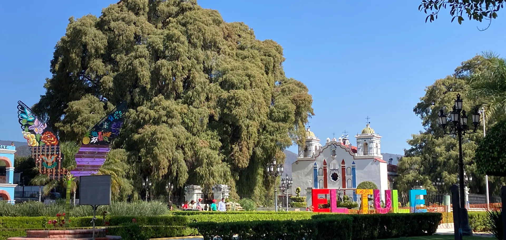 El Tule, árbol del Tule, Oaxaca de Juárez, Hotel San Felipe Oaxaca